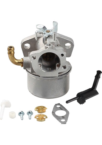 Briggs & Stratton Için Yeni Karbüratör 795069 698859 790180 790290 693865 (Yurt Dışından) fiyatları