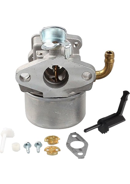 Briggs & Stratton Için Yeni Karbüratör 795069 698859 790180 790290 693865 (Yurt Dışından) indirimleri