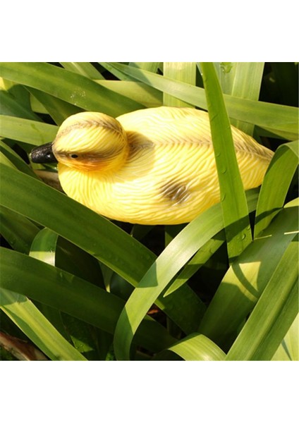 5x Lifesize Yüzen Ördekler Mallard Avcılık Çekim Yavaş Gölet Nehirleri Dekor (Yurt Dışından)