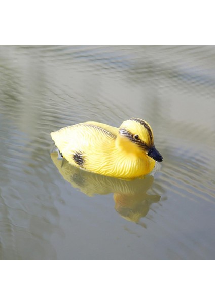5x Lifesize Yüzen Ördekler Mallard Avcılık Çekim Yavaş Gölet Nehirleri Dekor (Yurt Dışından)