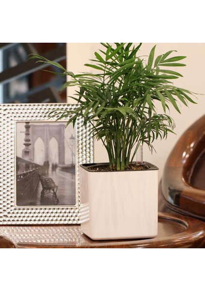 Set 3 Modern Plastik Kendi Kendine Sulayan Otlar Ekici Potu Su Seviyesi Göstergesi (Yurt Dışından) fırsatları