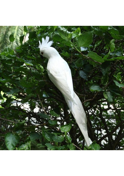 Royal Love 4 Gerçekçi Canlı Macaw Papağan Figürinler Kuşlar Model Bahçe Süslemesi (Yurt Dışından)