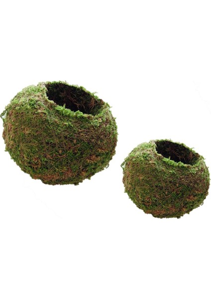 2x 612CM Japon Top Bitkileri Saksı Tutucu (Yurt Dışından)