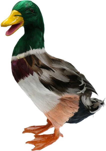 1 Çift Gerçekçi Mallard Ördek Süsleme Tuzağı Ev Bahçe Su Gölet Dekor (Yurt Dışından) fırsatları