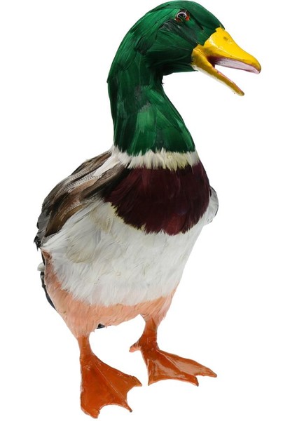 1 Çift Gerçekçi Mallard Ördek Süsleme Tuzağı Ev Bahçe Su Gölet Dekor (Yurt Dışından) indirimleri