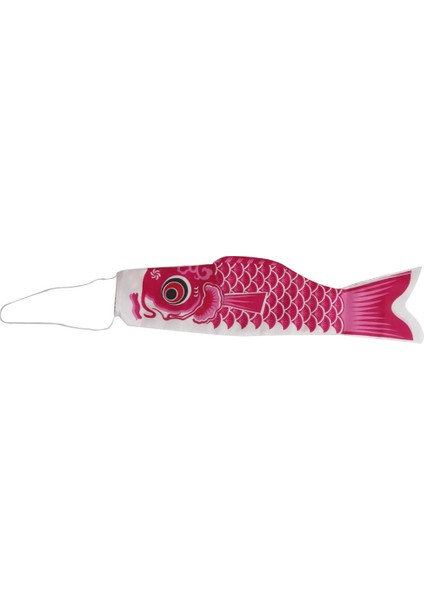 2 Bayrak Sazan Eti Geleneksel Bayrak Uçurtma Avlusu Pembesi 55CM Mavi 70CM (Yurt Dışından) fırsatları