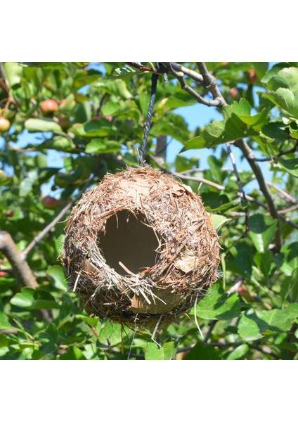 2 Kuş Evi Waterdorp Yuvarlak Dekoratif Asma Üreme Kuşları Yuva (Yurt Dışından)