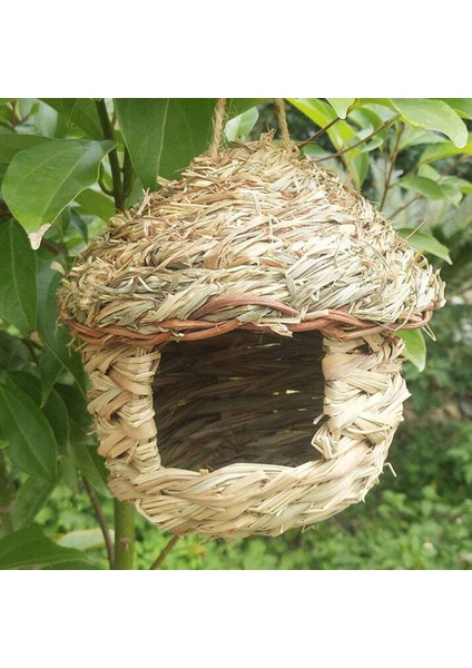 5 El Dokumalı Saman Kuşları Yuva Ağacı Asılı Kuş Evi Açık Manzara 5.5*3.5 (Yurt Dışından)