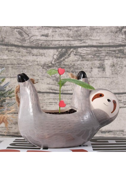 2x Etli Ekici Çiçekler Bitki Pot Flowerpot Bahçesi (Yurt Dışından) modelleri