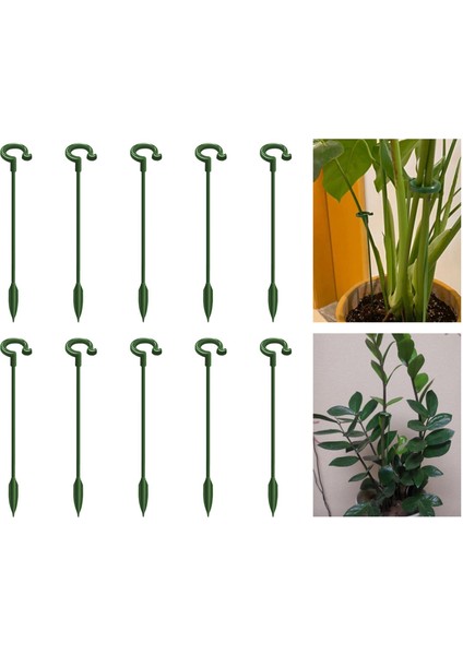 Bitki Destek Peşeler Bitkiler Için Bitki Stand Çiçek Standı Tutucu (Yurt Dışından) fırsatları