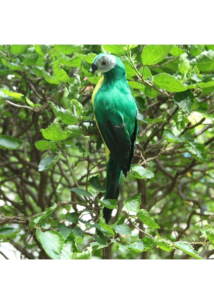 4x Doğa Parrot Masaüstü Süs Yapay Tüylü Kuşlar 35CM Yeşil+Kırmızı+Mavi+Sarı (Yurt Dışından) fırsatları