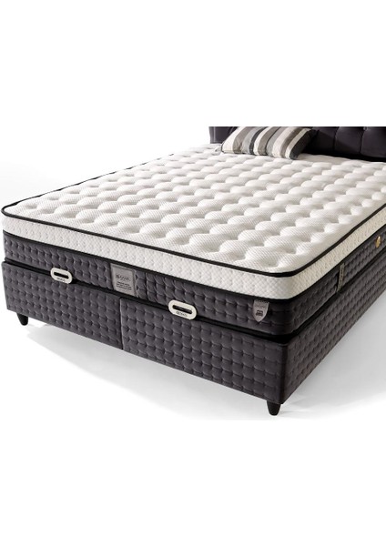 Md Prime 100X200 Tek Kişilik Yatak, Baza, Başlık Seti GM165