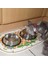 2 Adet 17 cm 250 ml Kedi Köpek Metal Mama ve Su Kabı - AL3118 5