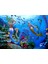 Balık Pisces Burç 1000 Parça Ahşap Puzzle Yapboz 1