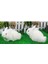 14X21CM Bunny Tavşan Heykeli Bahçe Heykel Heykelcik Paskalya Dekor Çim Dekor (Yurt Dışından) 3