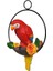 Metal Bahçe Heykeli Çim Süslemesi Üzerinde Yaşam Nakil Parrot Heykeli Levrek (Yurt Dışından) 2