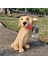 Güneş Lambası Köpek Heykel LED Hediye Sanat Yol Lambası Iç Mekan Arka Bahçe Veranda Çok Molor (Yurt Dışından) 2