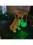 Güneş Lambası Köpek Heykel LED Hediye Sanat Yol Lambası Iç Mekan Arka Bahçe Veranda Çok Molor (Yurt Dışından) 5