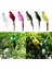 Doğa Için 2x Sadece Yeşil Parrot Masaüstü Süs Yapay Tüylü Kuş (Yurt Dışından) 4