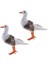 2pc Simüle Swagull Yapay Kuş Vivid Bahçe Ev Dekoru Prop Süsleme Süslemesi 2 Adet Tüy Meagull Tarif Edildiği Gibi (Yurt Dışından) 1