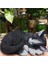 Güzel Minyatür Uyuyan Kedi Heykel Süsleri Bahçe Ev Dekoru Için Heykelcik (Yurt Dışından) 4