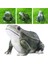 Frog Heykelleri Süsler Dekorasyonu Için Çim Heykel Heykelleri (Yurt Dışından) 5