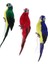 3x Doğa Parrot Masaüstü Süsü Yapay Tüylü Kuşlar 35CM (Yurt Dışından) 1
