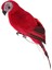 3x Doğa Parrot Masaüstü Süsü Yapay Tüylü Kuşlar 35CM (Yurt Dışından) 2