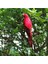 3x Doğa Parrot Masaüstü Süsü Yapay Tüylü Kuşlar 35CM (Yurt Dışından) 3