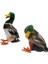 1 Çift Gerçekçi Mallard Ördek Süsleme Tuzağı Ev Bahçe Su Gölet Dekor (Yurt Dışından) 1