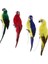 4x Doğa Parrot Masaüstü Süs Yapay Tüylü Kuşlar 35CM Yeşil+Kırmızı+Mavi+Sarı (Yurt Dışından) 1