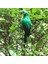 4x Doğa Parrot Masaüstü Süs Yapay Tüylü Kuşlar 35CM Yeşil+Kırmızı+Mavi+Sarı (Yurt Dışından) 4