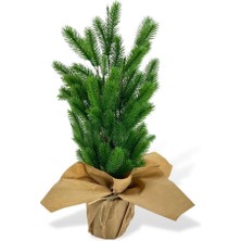 Nettenevime Yılbaşı Ağacı Yapay Çam Ağacı Kraft Saksıda 55CM