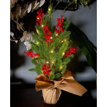 Nettenevime Yılbaşı Ağacı LED Işıklı Kokina Yapay Çam Ağacı Kraft Saksıda 55CM