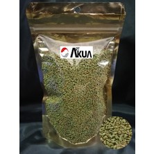 Art Akua Artakua Spirulina Garlic Granulat Yem 100 Gram