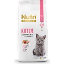 Nutri Feline Glutensiz Somonlu Düşük Tahıllı Yavru Kedi Maması 10 kg