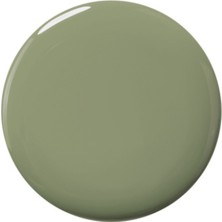 faberlic Color & Care Oje, Zarif Ada Çayı