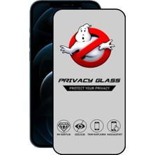 Caseart Apple iPhone 12 Pro Max Tam Kaplayan Gizli Hayalet Temperli Ekran Koruyucu Cam