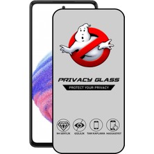 Caseart Samsung Galaxy A53 Tam Kaplayan Gizli Hayalet Temperli Ekran Koruyucu Cam