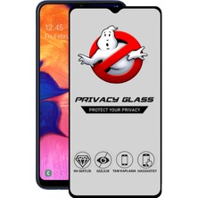 Caseart Samsung Galaxy A10 Tam Kaplayan Gizli Hayalet Temperli Ekran Koruyucu Cam