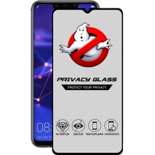 Caseart Huawei Mate 20 Lite Tam Kaplayan Gizli Hayalet Temperli Ekran Koruyucu Cam