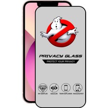 Caseart Apple iPhone 13 Mini Tam Kaplayan Gizli Hayalet Temperli Ekran Koruyucu Cam