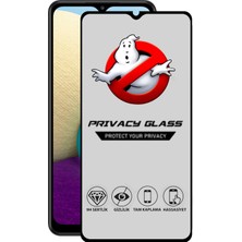 Caseart Samsung Galaxy A02 Tam Kaplayan Gizli Hayalet Temperli Ekran Koruyucu Cam