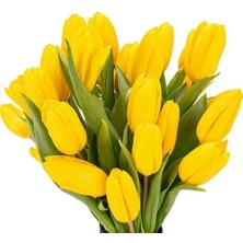 Day 10 Adet Sarı Renk Lale Çiçeği Tohumu + 10 Adet Hollanda Gülü Çiçek Tohumu