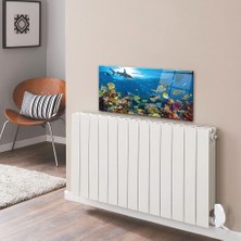 Decorita Petek Üstü Cam | Akvaryum |