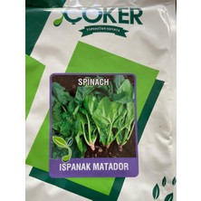 Çöker Tohumculuk Çoker Ispanak Tohumu (Matador)1kg