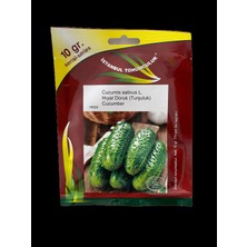 Istanbul Tohumculuk Hıyar Doruk (Turşuluk) 10 gr