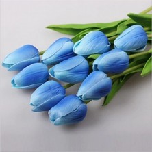 Day 100 Adet Mavi Renk Lale Çiçeği Tohumu + 10 Adet Hediye Hollanda Gülü Çiçek Tohumu