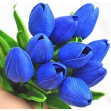 Day 100 Adet Mavi Renk Lale Çiçeği Tohumu + 10 Adet Hediye Hollanda Gülü Çiçek Tohumu