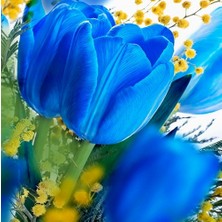 Day 100 Adet Mavi Renk Lale Çiçeği Tohumu + 10 Adet Hediye Hollanda Gülü Çiçek Tohumu